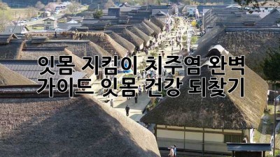잇몸 지킴이🚨 치주염 완벽 가이드: 잇몸 건강 되찾기✨