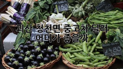 괴산 청천면 중고차 딜러, 어디가 좋을까? 🤔