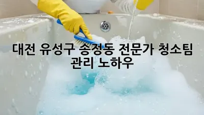 대전 유성구 송정동 전문가 청소팀 관리 노하우